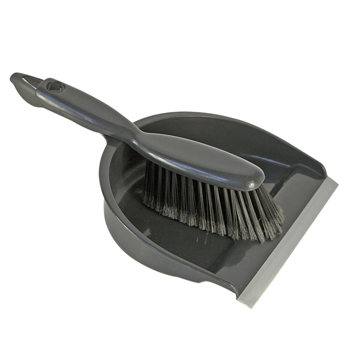Robert Scott Eco Professional Dustpan & Brush - Soft 104938